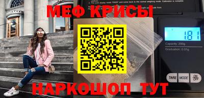 дмт Кингисепп