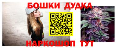 дмт Кингисепп