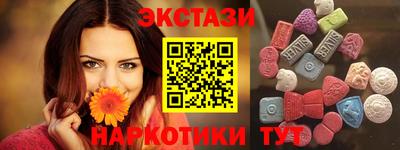 дмт Кингисепп